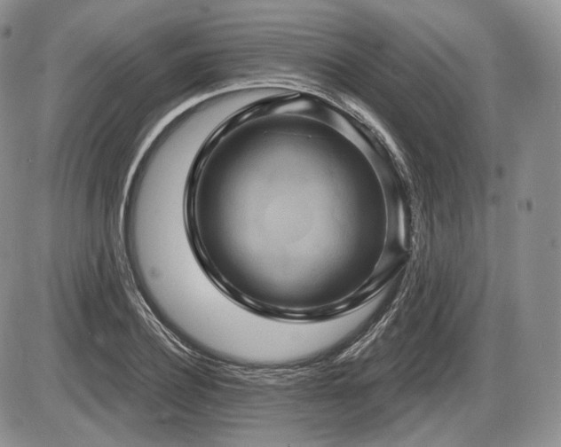 X0000086020932200703231142
