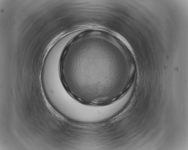 X0000086020946200703231142