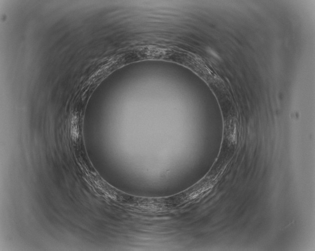 X0000086020962200703231142