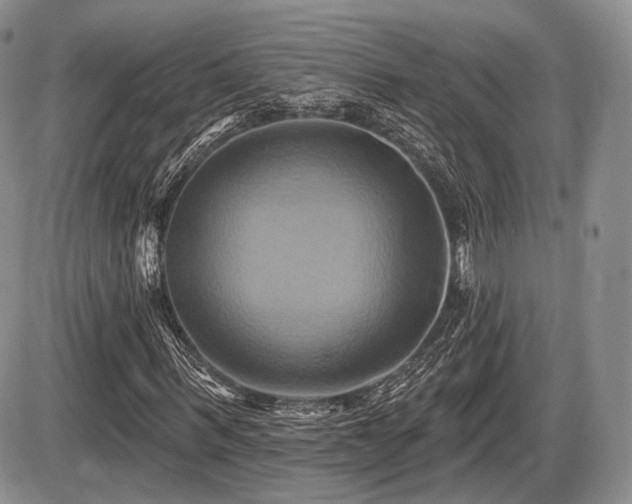X0000086020963200703231142