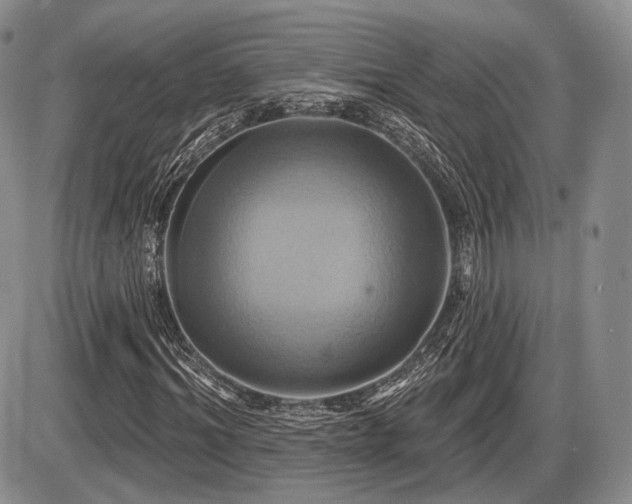 X0000086020964200703231142