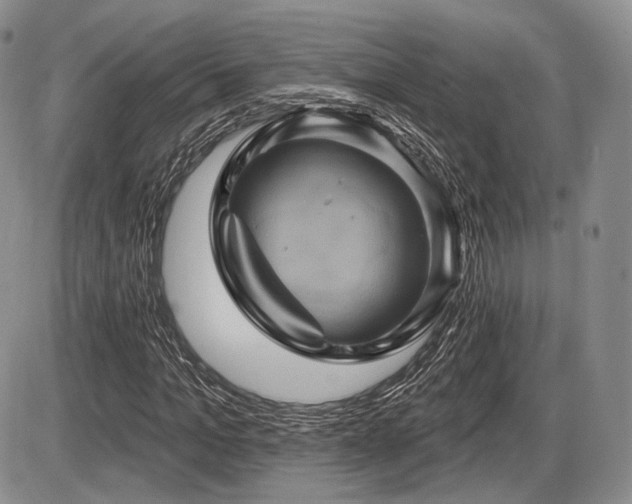 X0000086020965200703231142