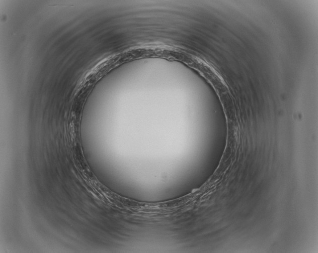 X0000086020968200703231142