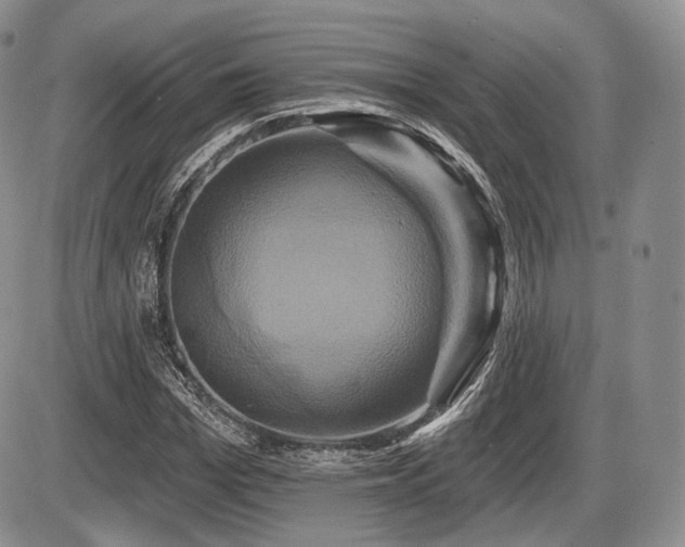 X0000086020969200703231142