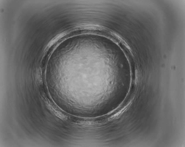 X0000086020970200703231142