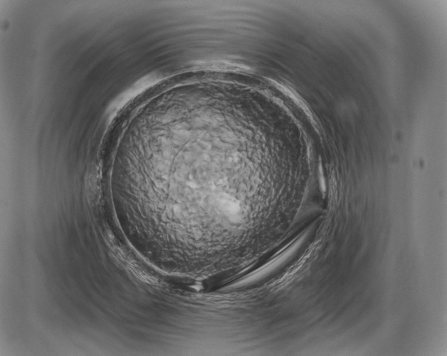 X0000086020971200703231142