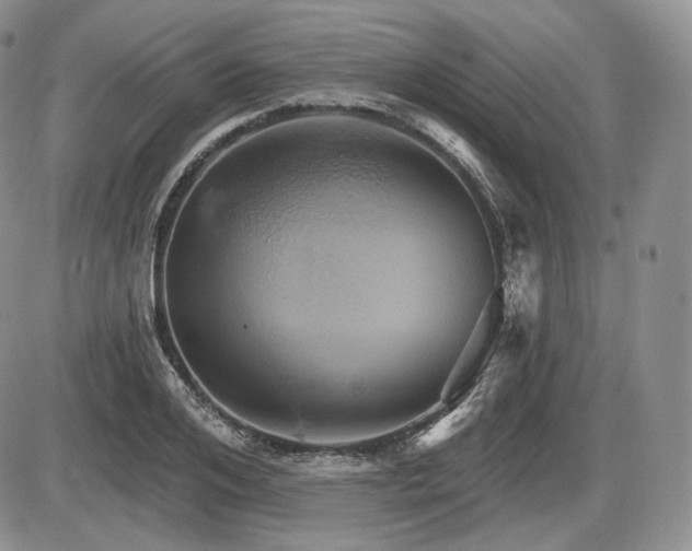 X0000086020984200703231141