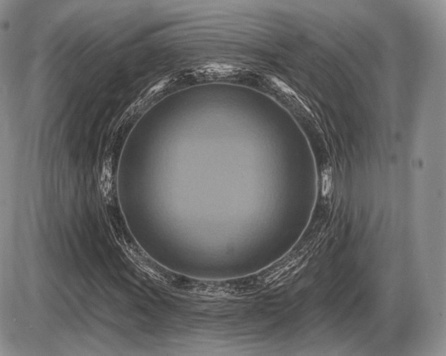X0000086021011200703231140