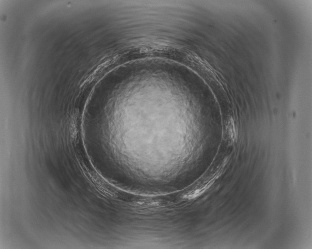 X0000086021012200703231140