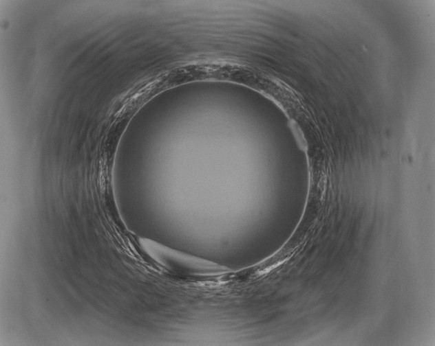 X0000086021014200703231140