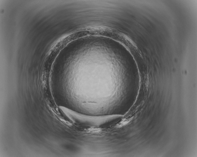 X0000086021016200703231140