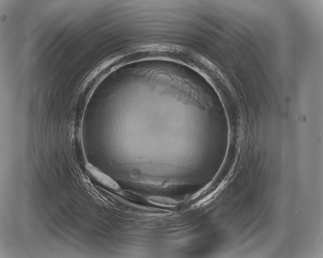 X0000086021017200703231140