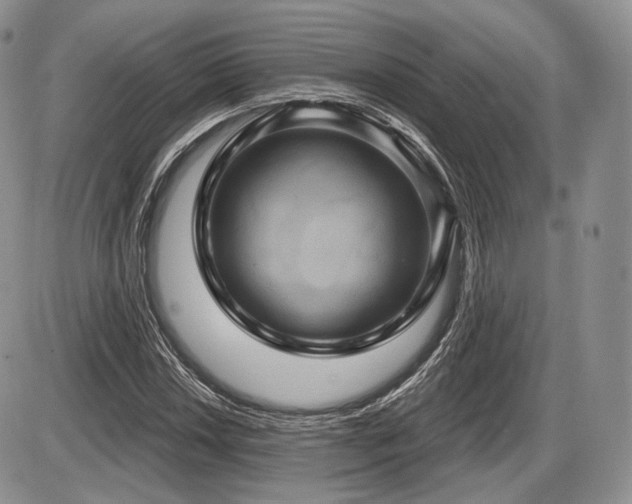 X0000086021018200703231140