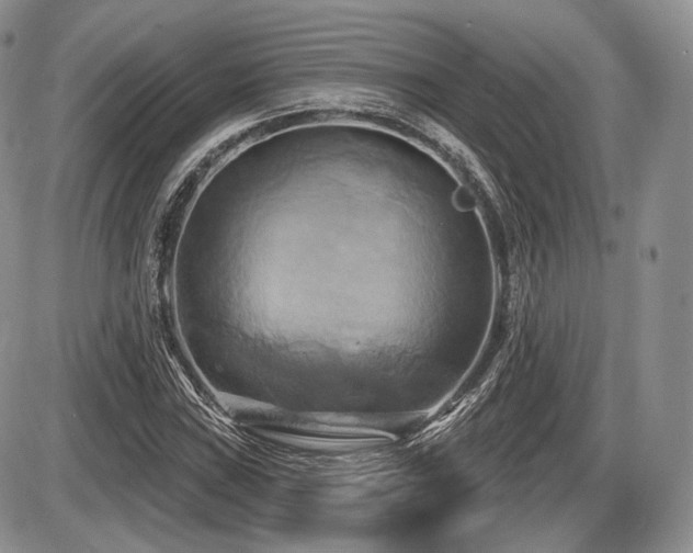 X0000086021019200703231140