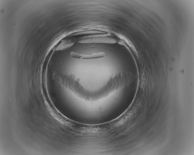 X0000086021039200703231141