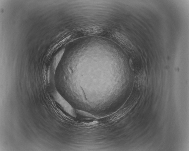 X0000086021058200703231140