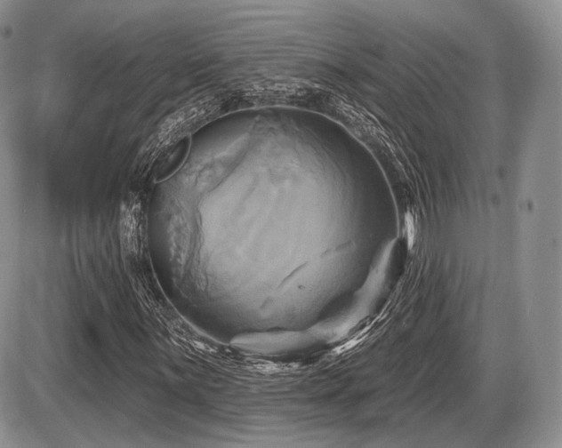 X0000086021059200703231140