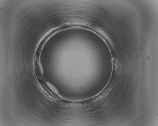 X0000086021068200703231140