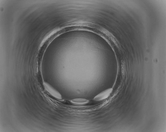 X0000086021069200703231140