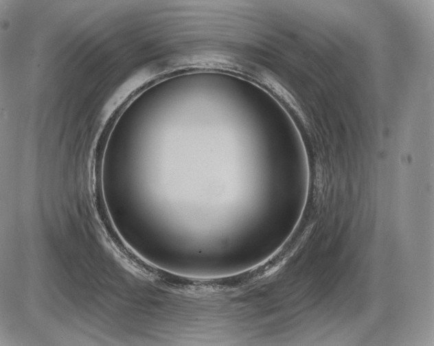 X0000086021082200703231140