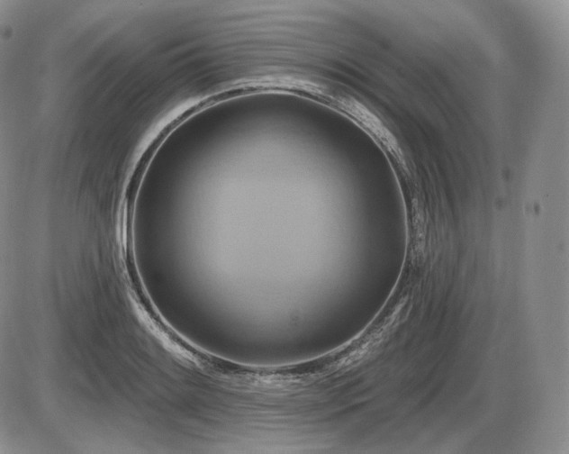 X0000086021084200703231140