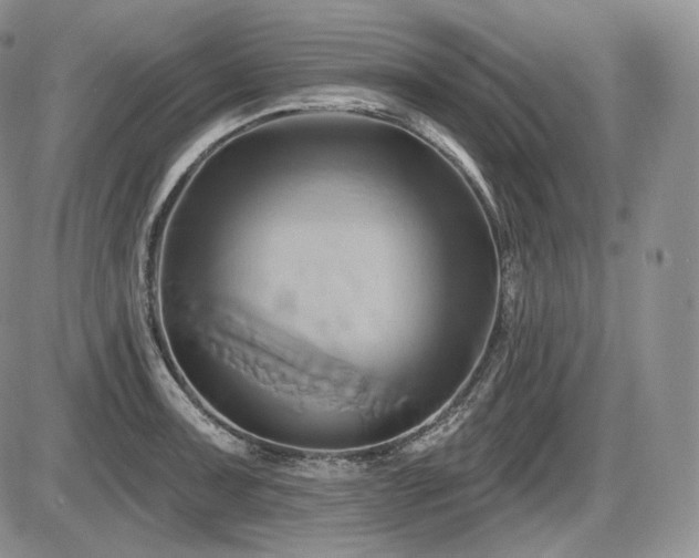 X0000086021091200703231140