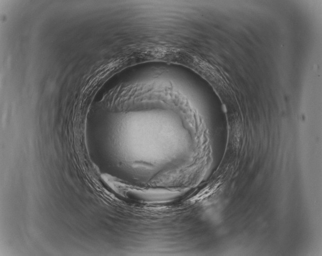 X0000086021105200703231139
