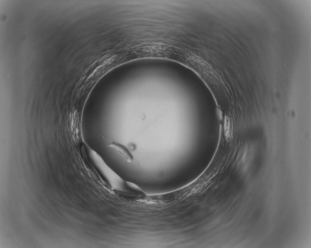 X0000086021107200703231139