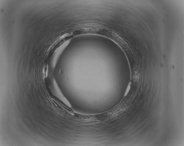 X0000086021108200703231139