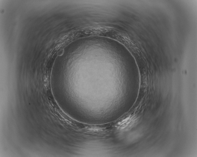 X0000086021109200703231139