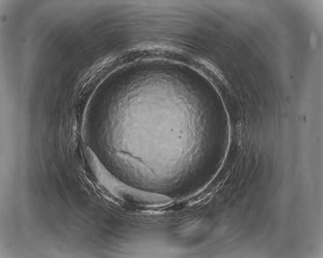X0000086021111200703231139