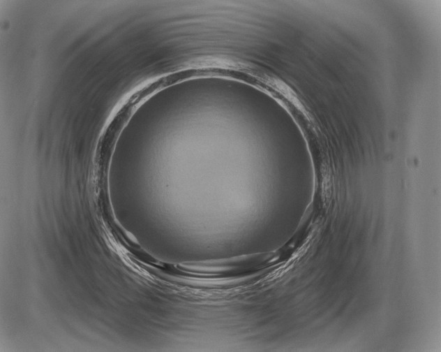 X0000086021116200703231139