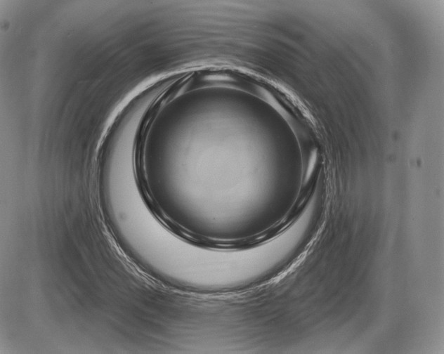 X0000086021118200703231139