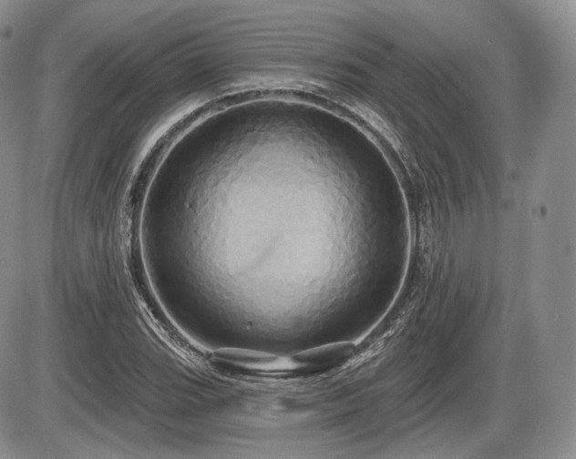 X0000086021119200703231139