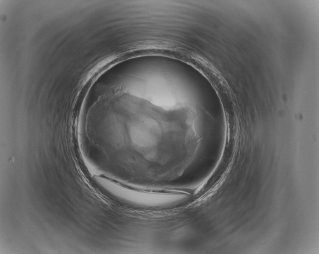 X0000086021121200703231139