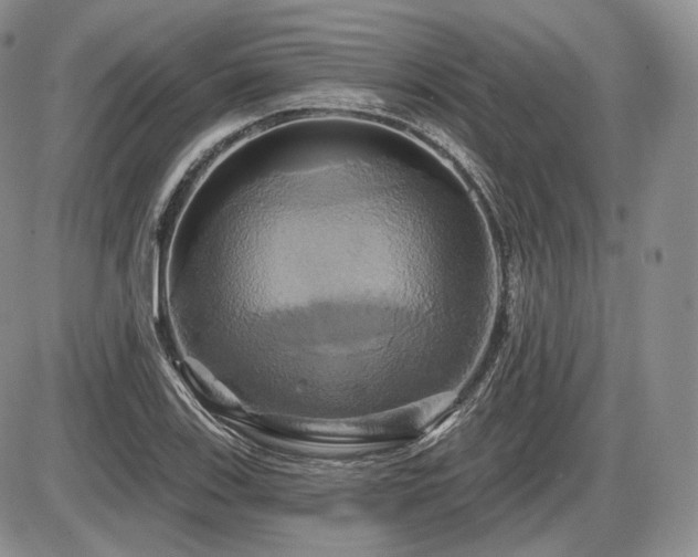 X0000086021123200703231139
