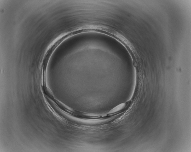 X0000086021127200703231139