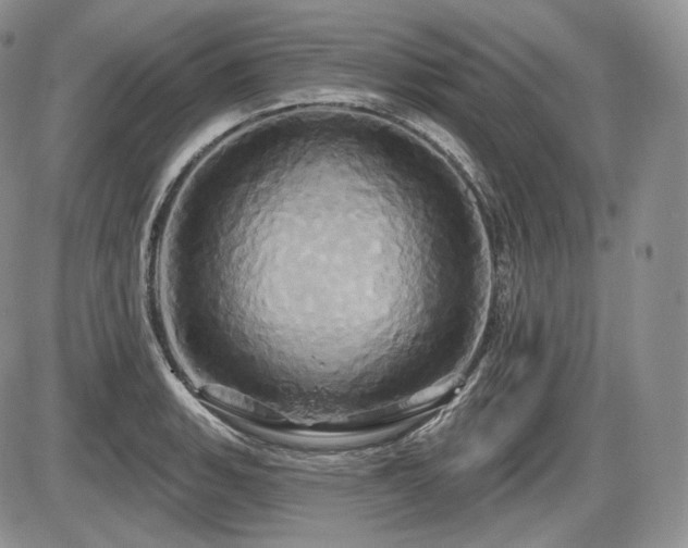 X0000086021135200703231139