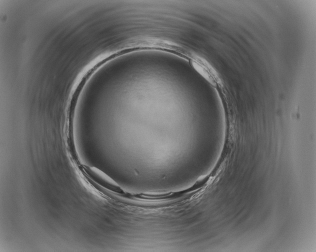 X0000086021136200703231139