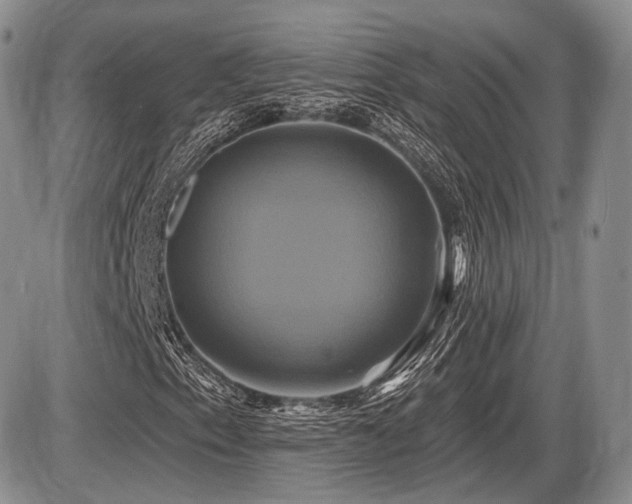 X0000086021153200703231139