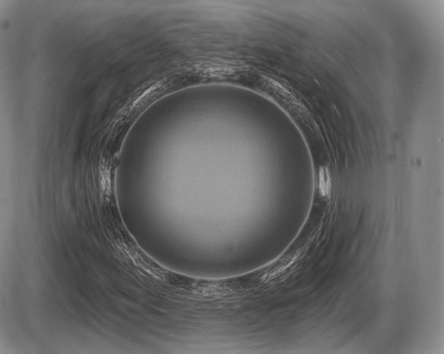 X0000086021155200703231139
