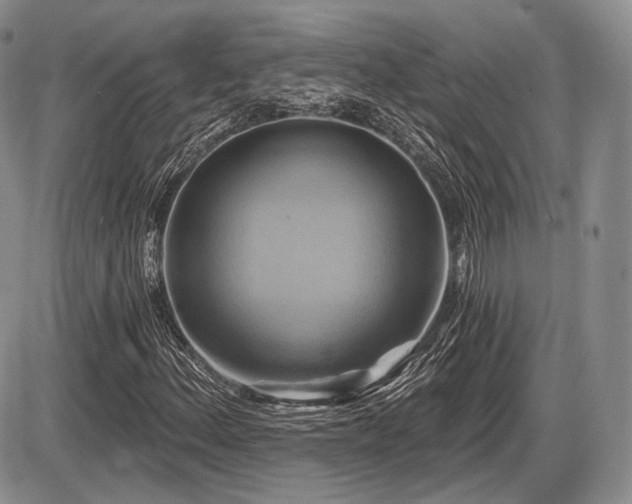 X0000086021156200703231139