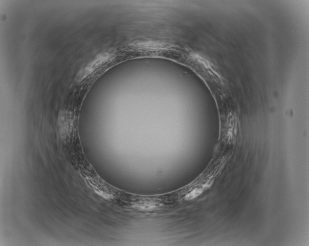 X0000086021157200703231138