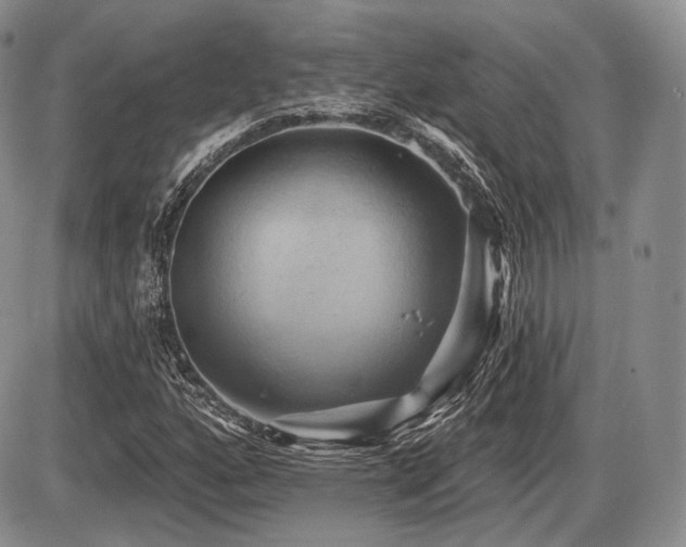 X0000086021160200703231138