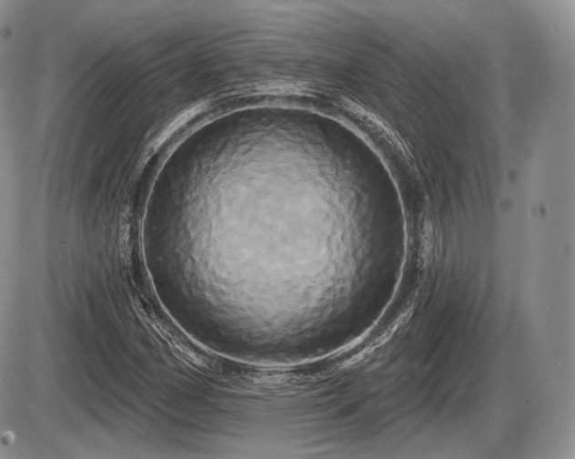 X0000086021162200703231138