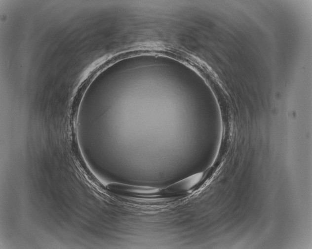 X0000086021168200703231138