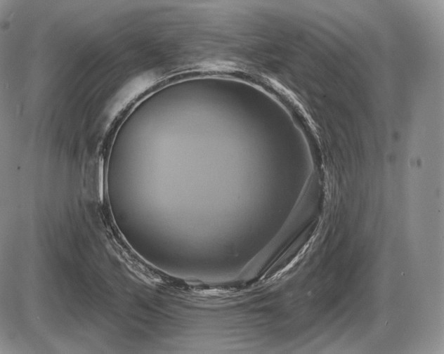 X0000086021171200703231138
