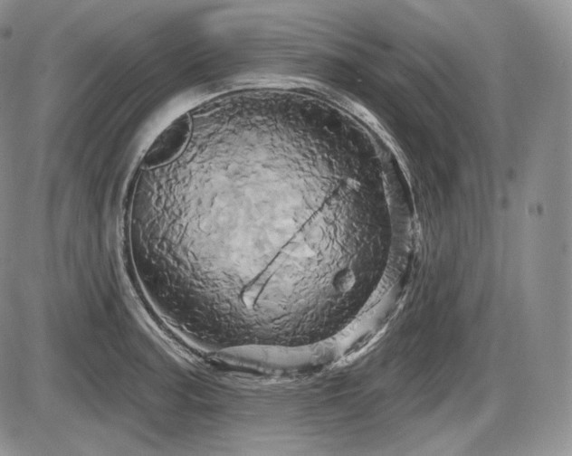X0000086021187200703231138