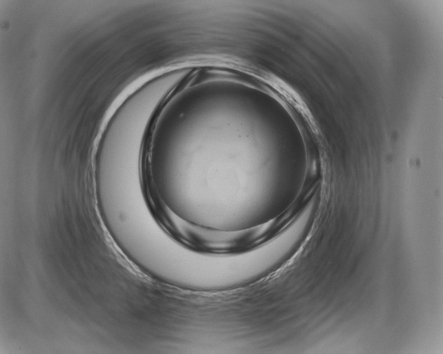 X0000086021192200703231138