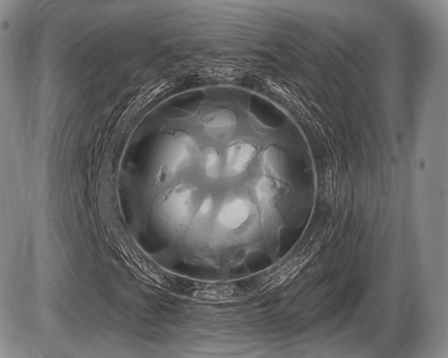 X0000086021201200703231137